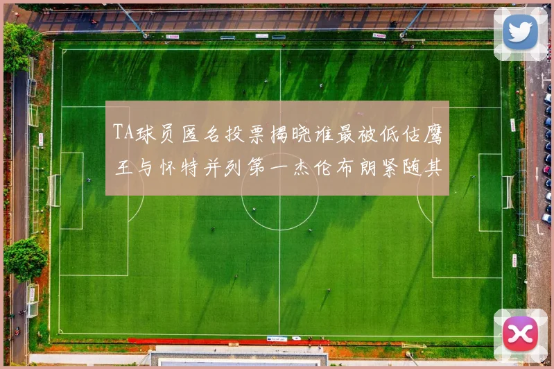 TA球员匿名投票揭晓谁最被低估鹰王与怀特并列第一杰伦布朗紧随其后