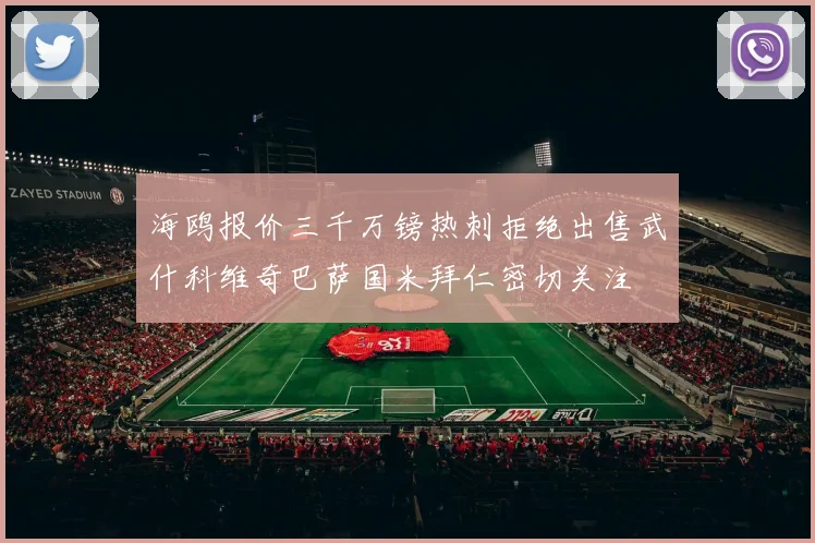 海鸥报价三千万镑热刺拒绝出售武什科维奇巴萨国米拜仁密切关注